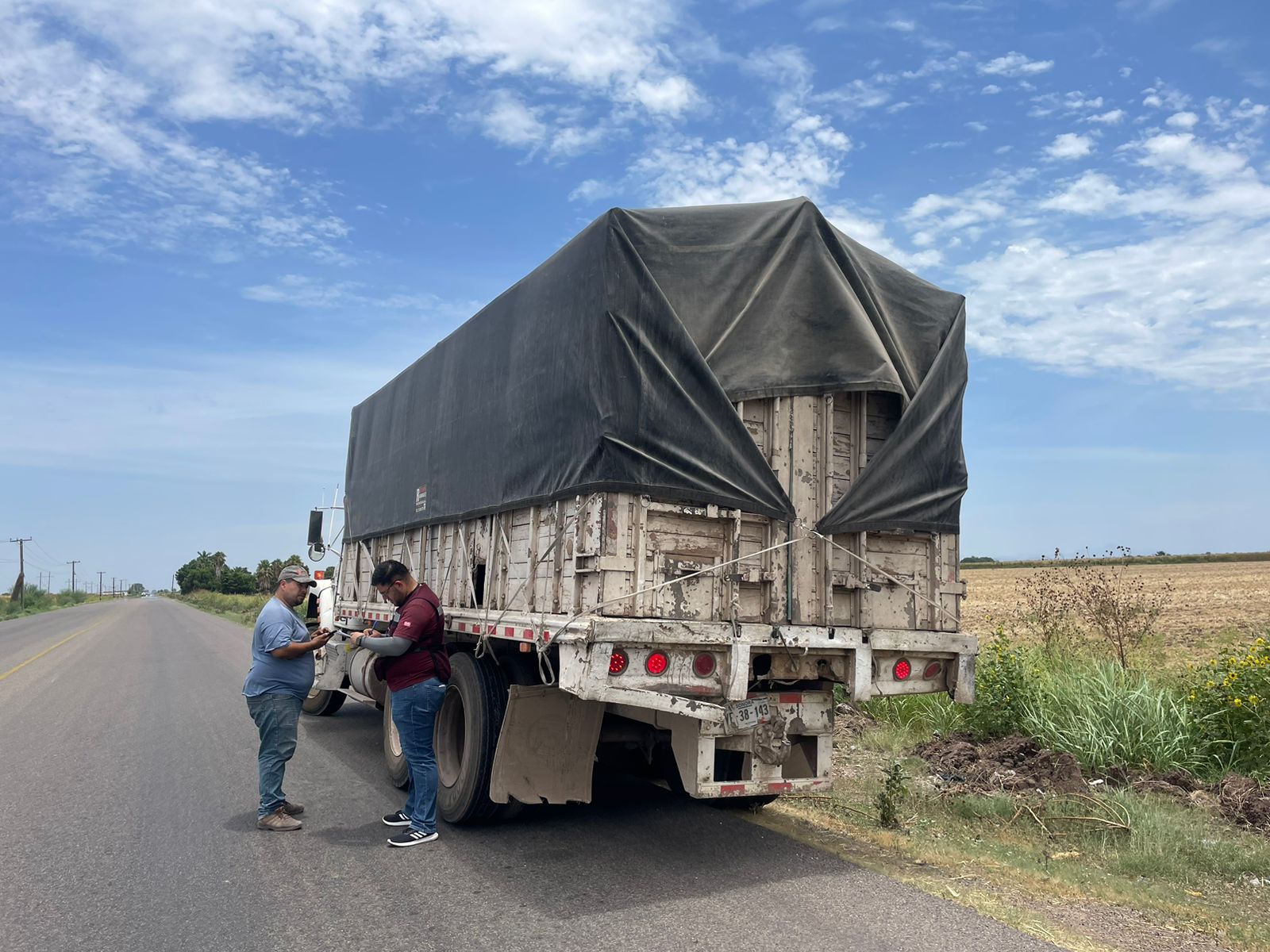 Verificación de carga de temporada